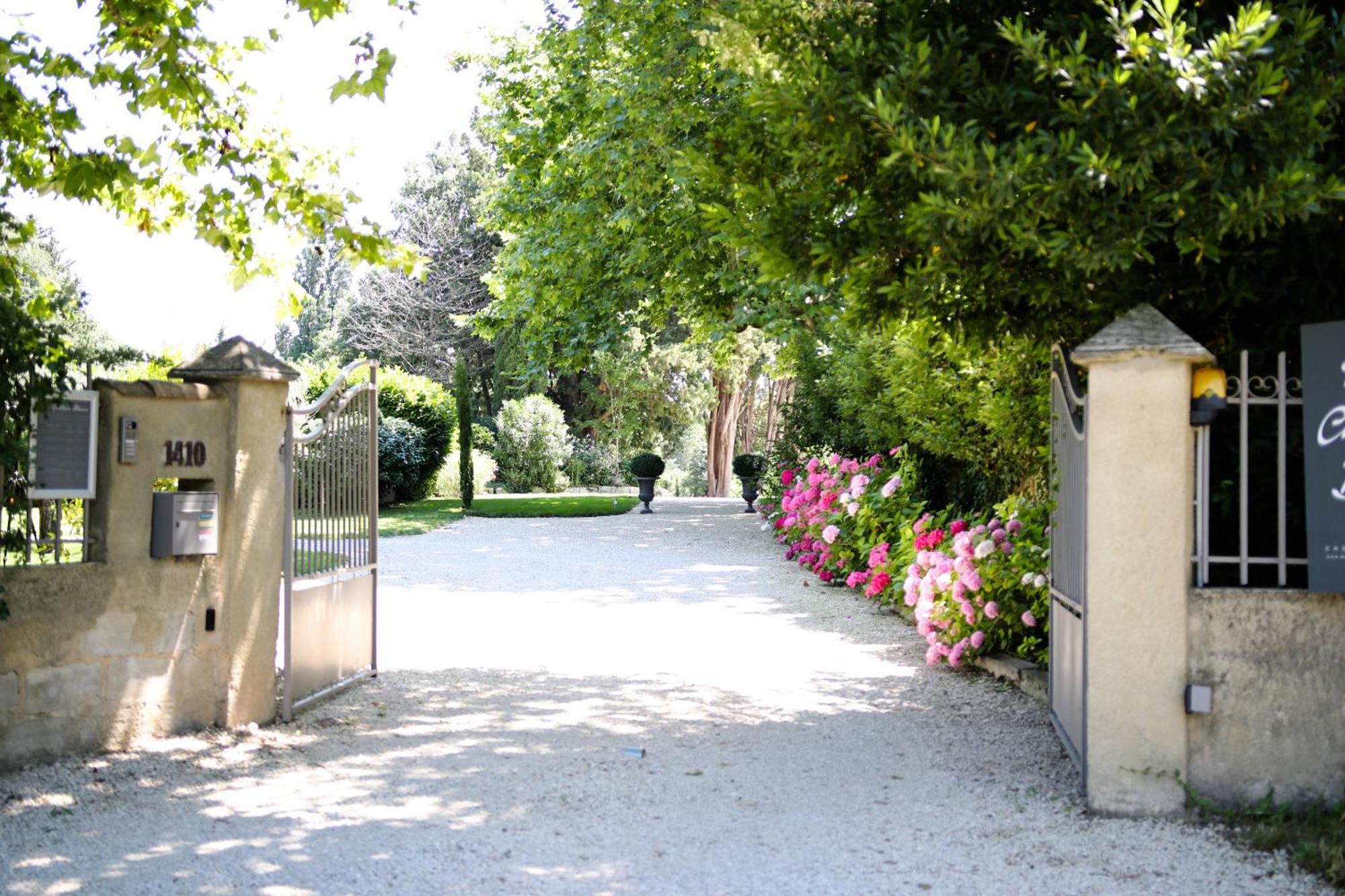 Mas Chateau Blanc Avignon Kültér fotó